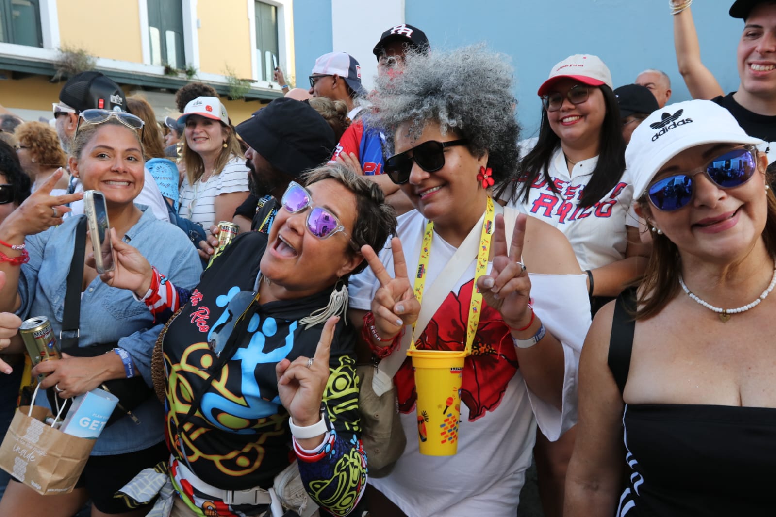 La Comisión de Derechos Civiles plantea que ordenanza en SJ sobre rótulos es inconstitucional