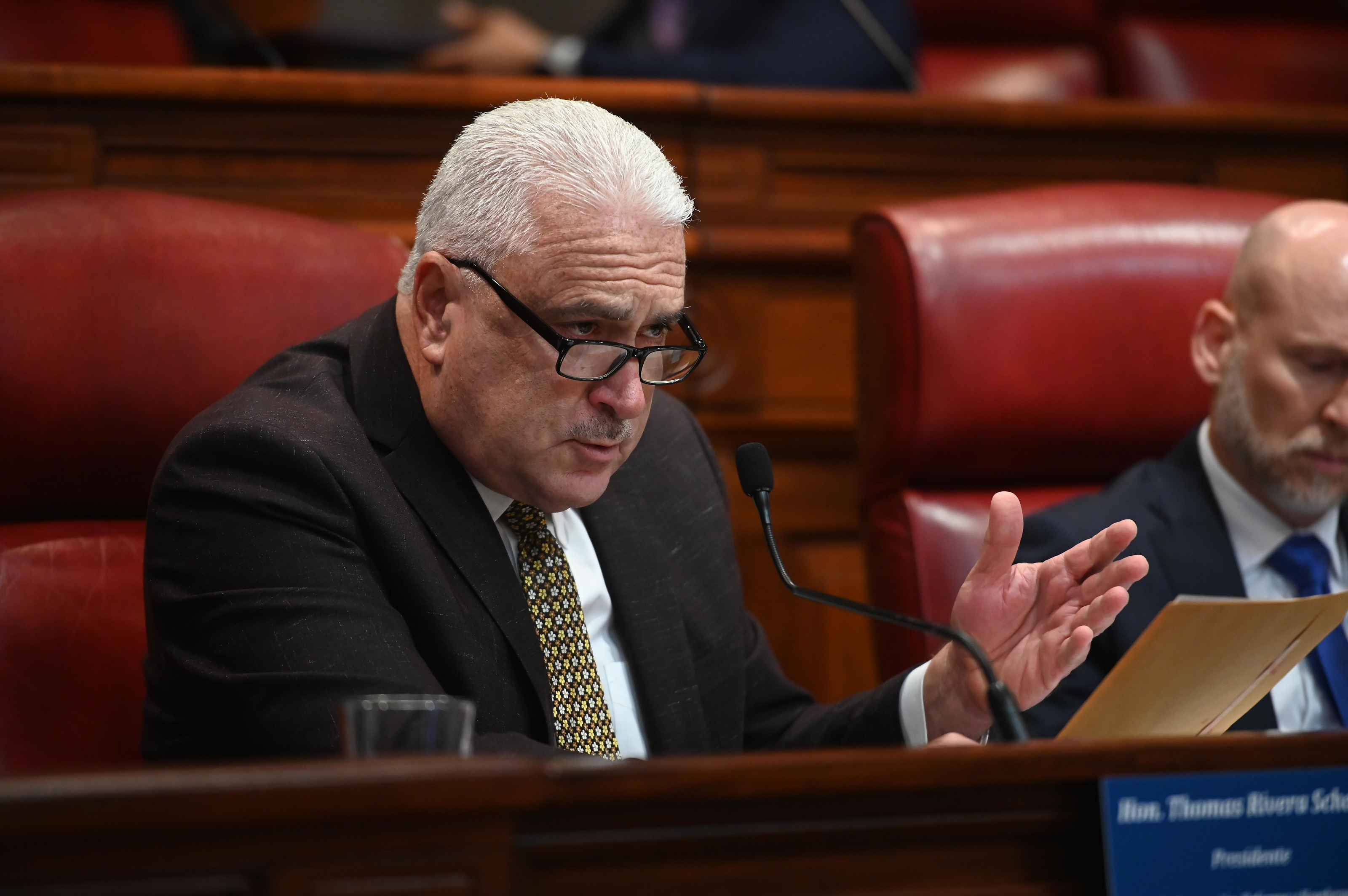 Rivera Schatz presenta medida para aclarar ofrecimientos de seguros para mascotas