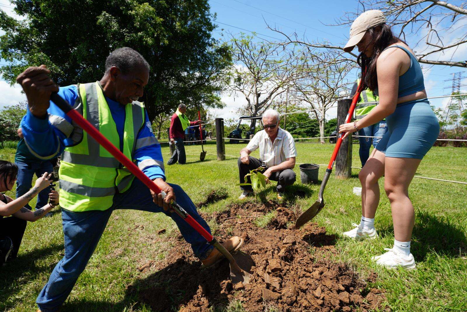 Legislan deducción contributiva de $1,500 por trabajo voluntario