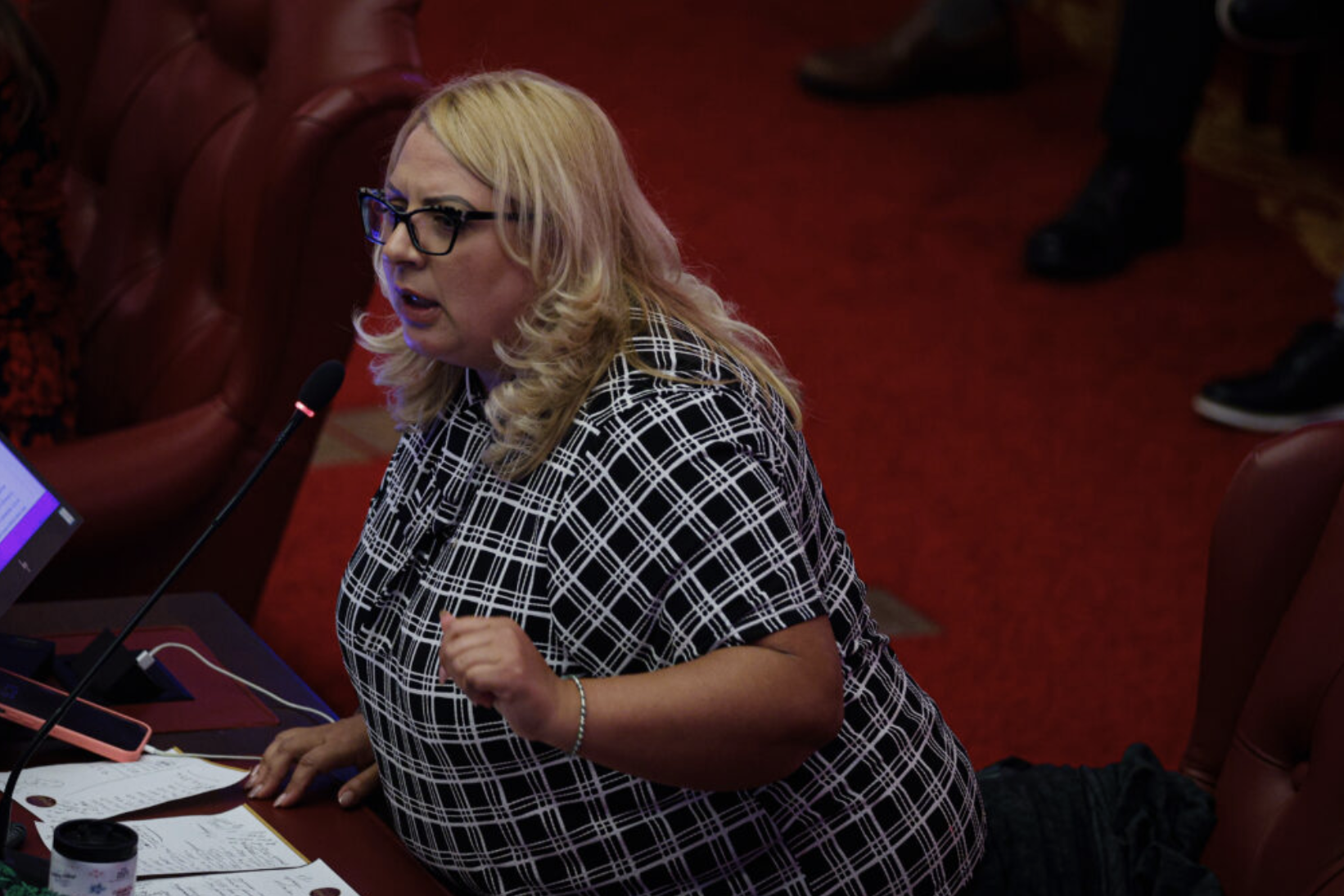 Familia confirma que ley de vales a madres y padres solteros nunca se implementó