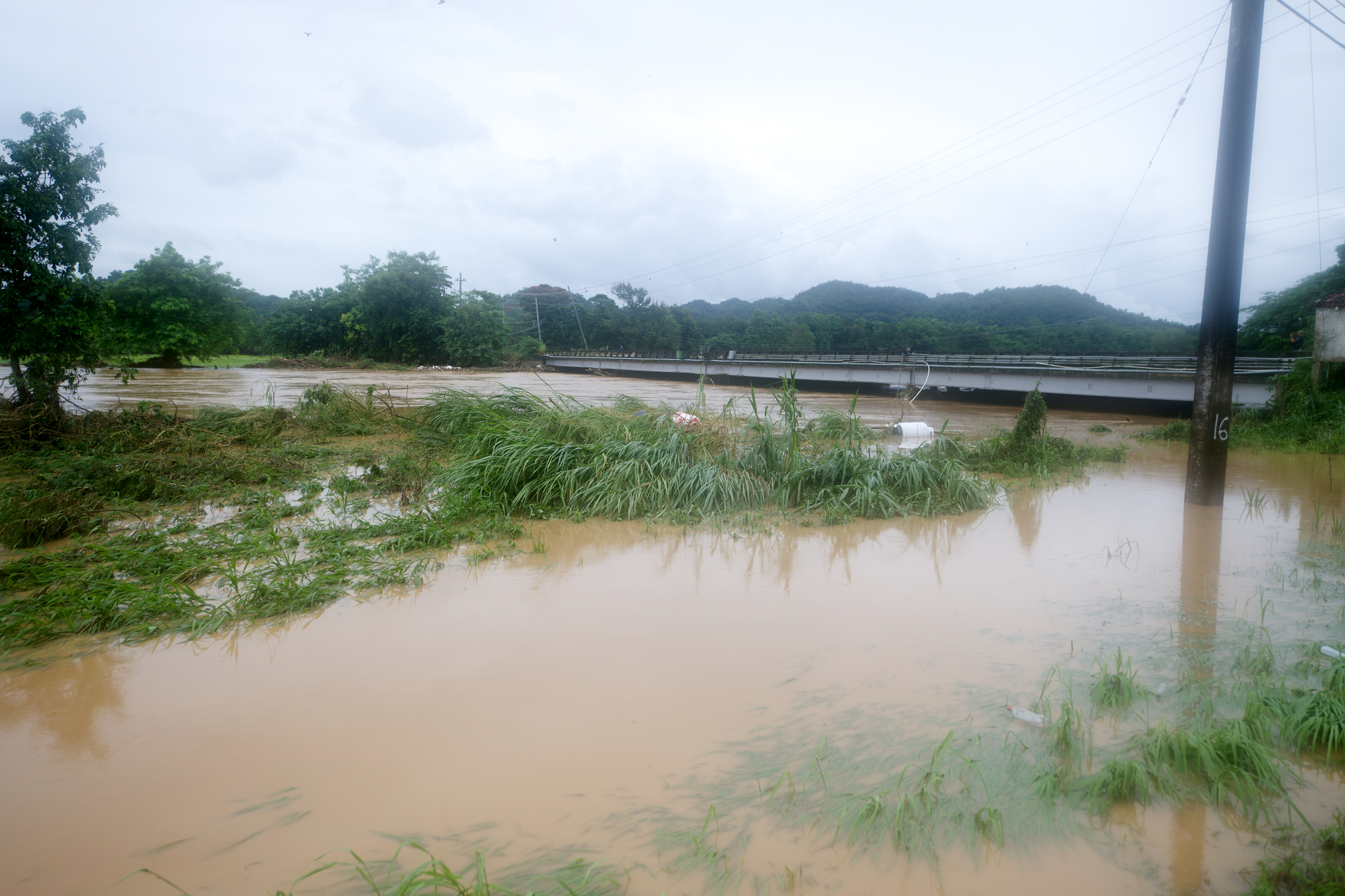 Reabren carriles de la carretera PR-2 en Vega Alta
