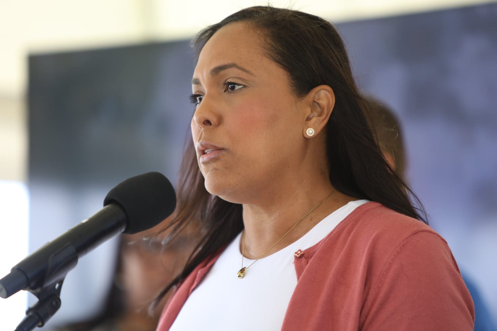 La Fortaleza no tiene una postura sobre el proyecto Esencia, dice Rosachely Rivera