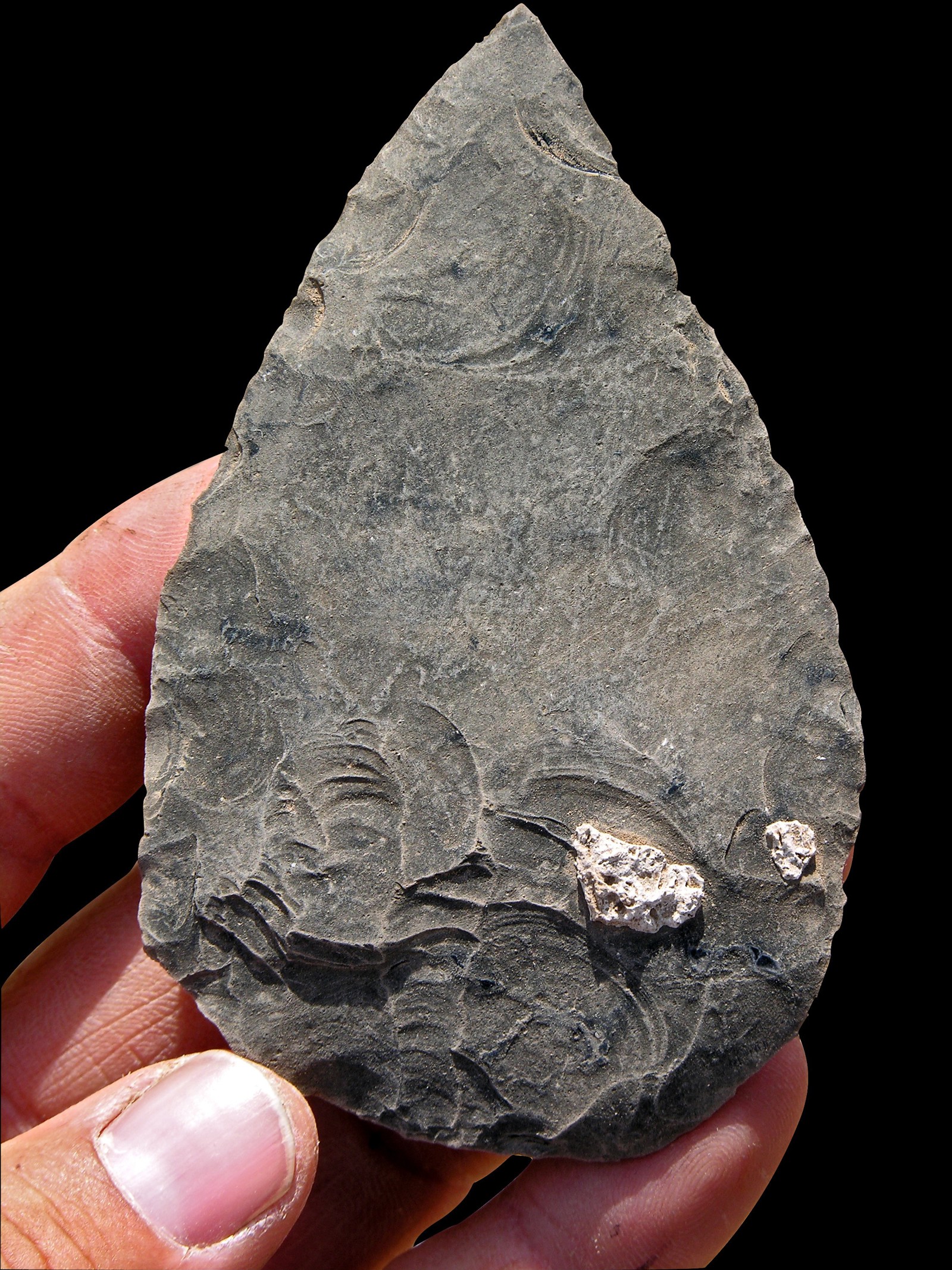 Una excavación en Etiopía arroja luz sobre la vida y el entorno de los primeros Homo sapiens