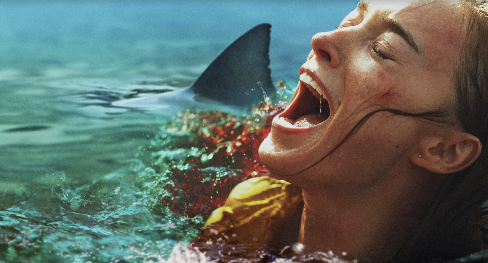 ‘Thrash’, el filme de terror de un huracán categoría 5 que sus actores ven «muy relevante»