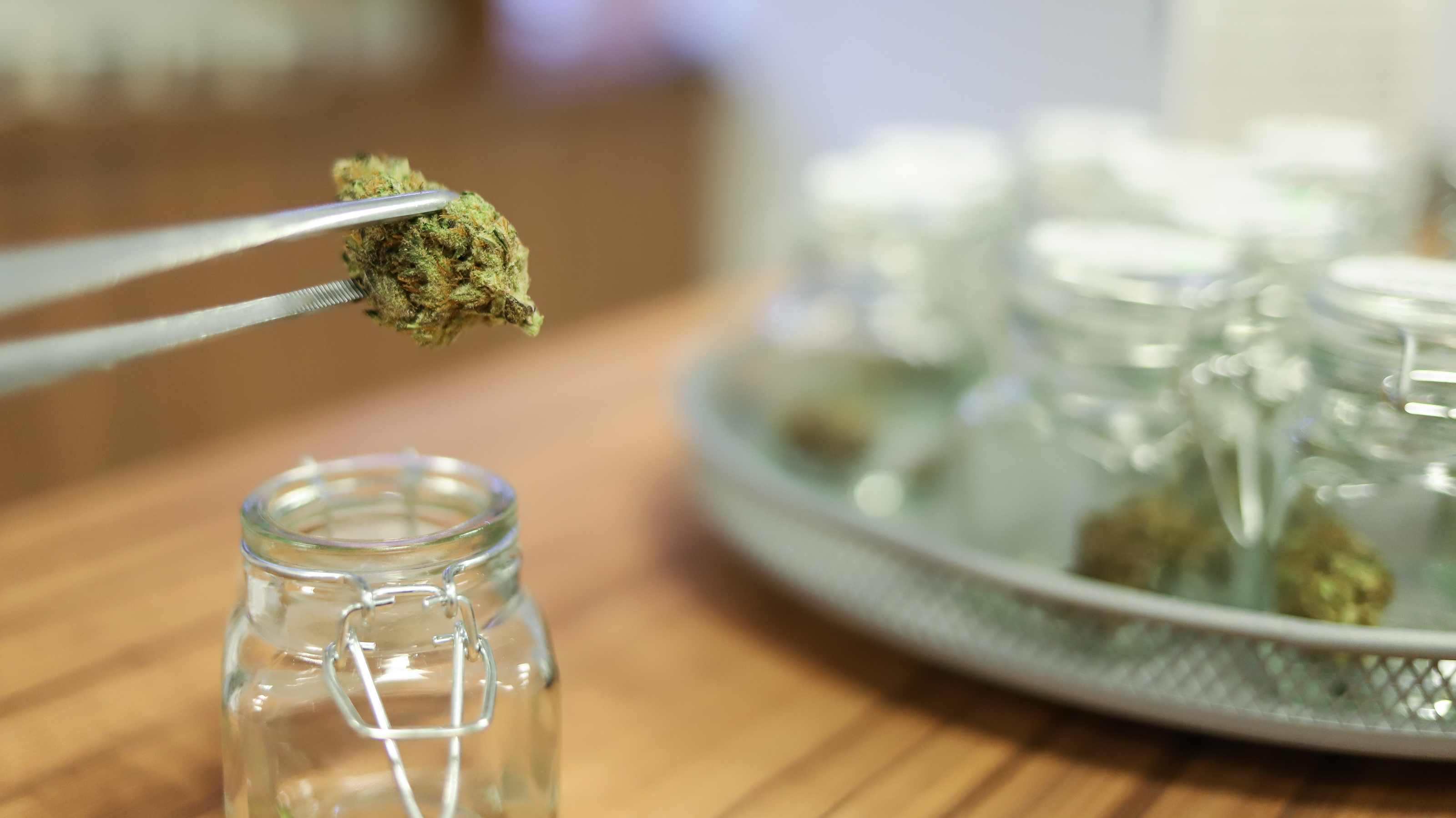 Gobierno de Trump reclasifica el cannabis medicinal como «droga menos peligrosa»