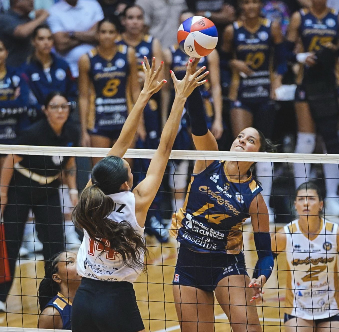 Cangrejeras completan la barrida y se coronan en el Voleibol Superior Femenino