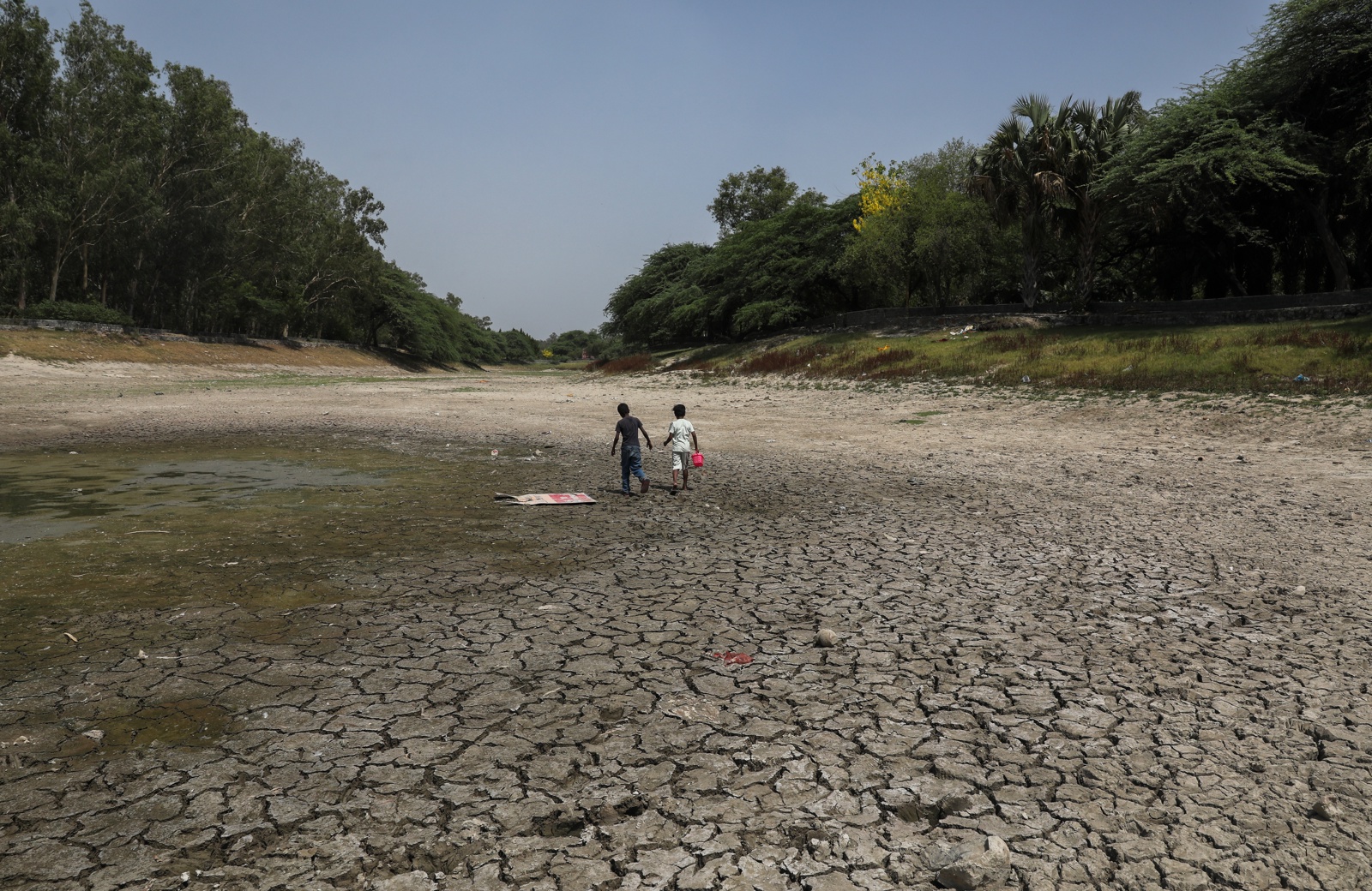 El calor extremo y la contaminación dejan cientos de peces muertos en un lago de India