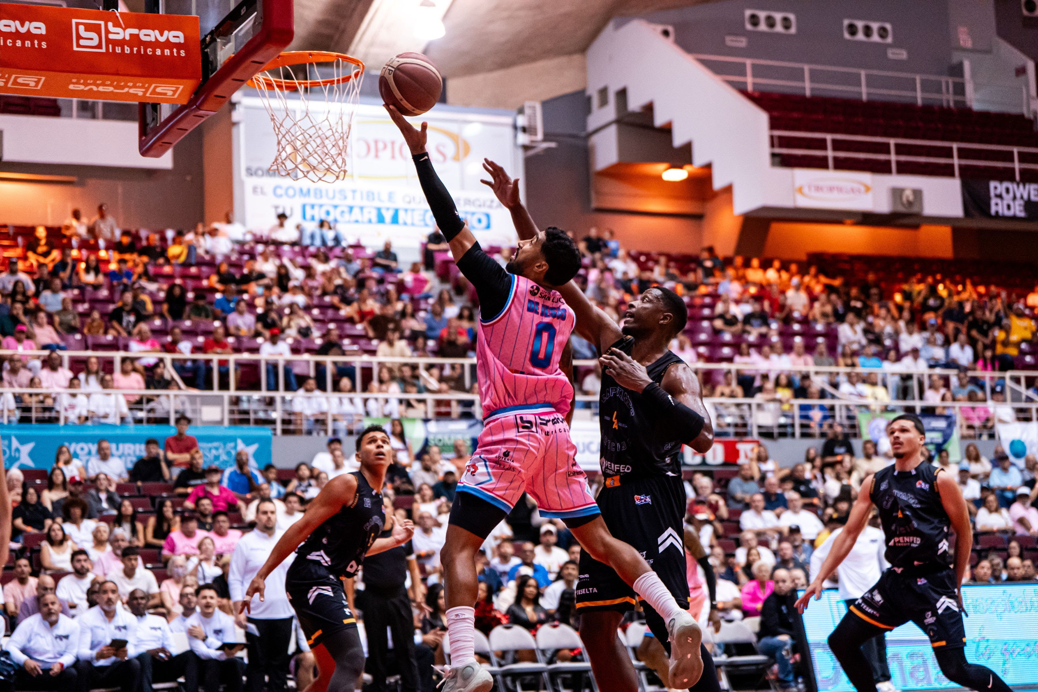 BSN: Nuevas victorias para Leones y Osos