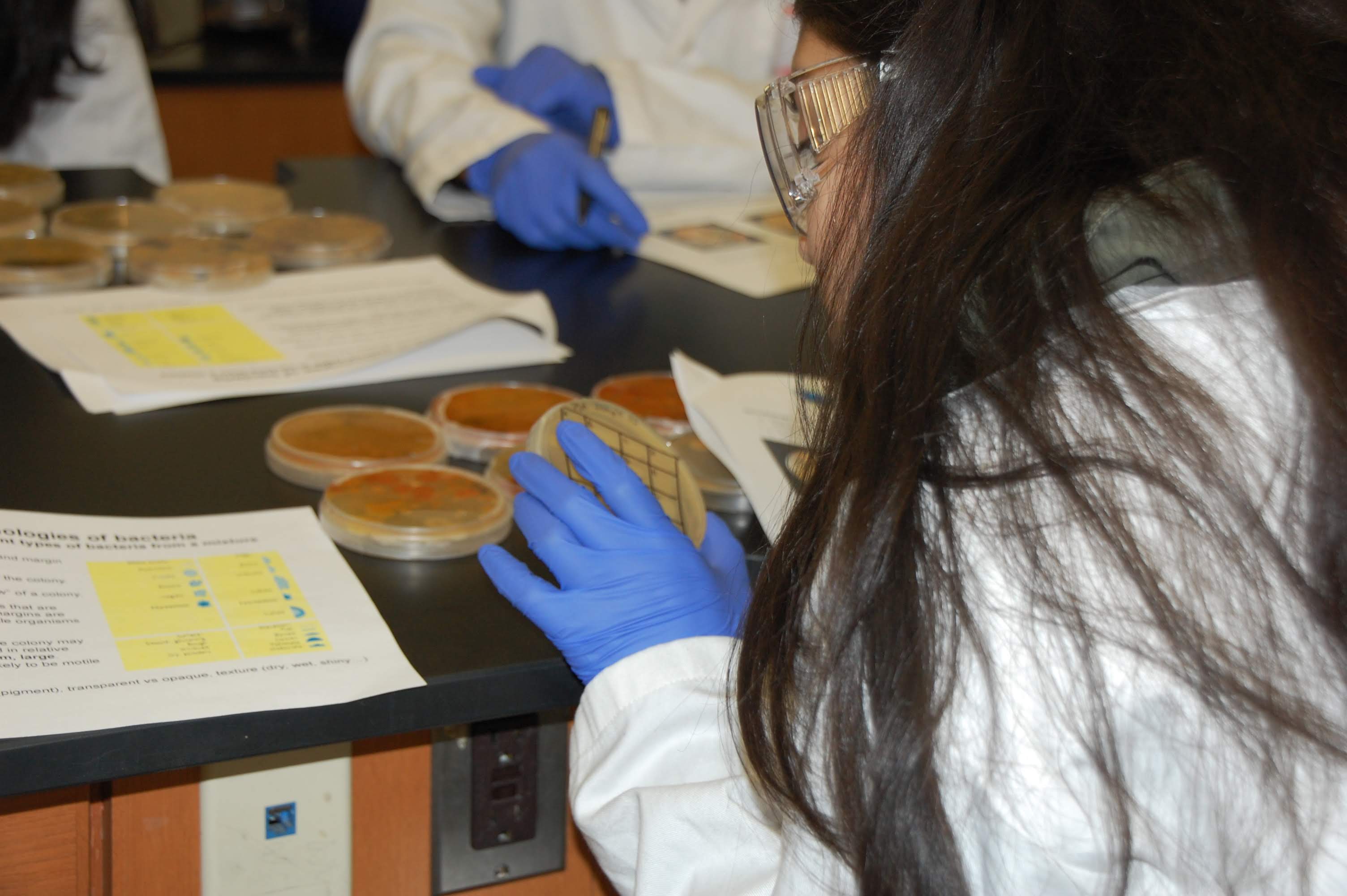 Campamento científico "Bacterias al rescate" busca nuevos antibióticos con estudiantes de PR