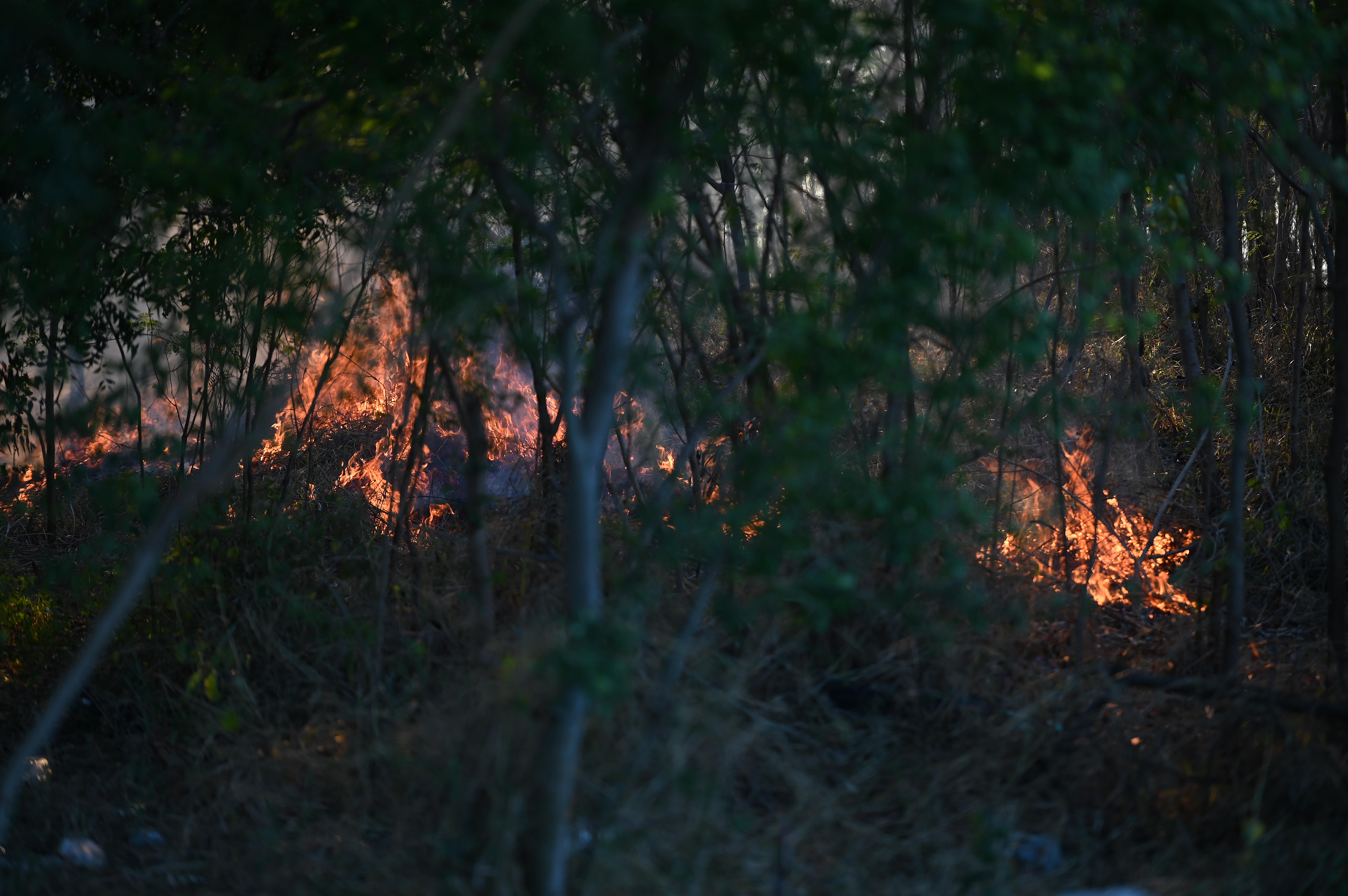 Emiten aviso de Bandera Roja por incendios para el sur y oeste