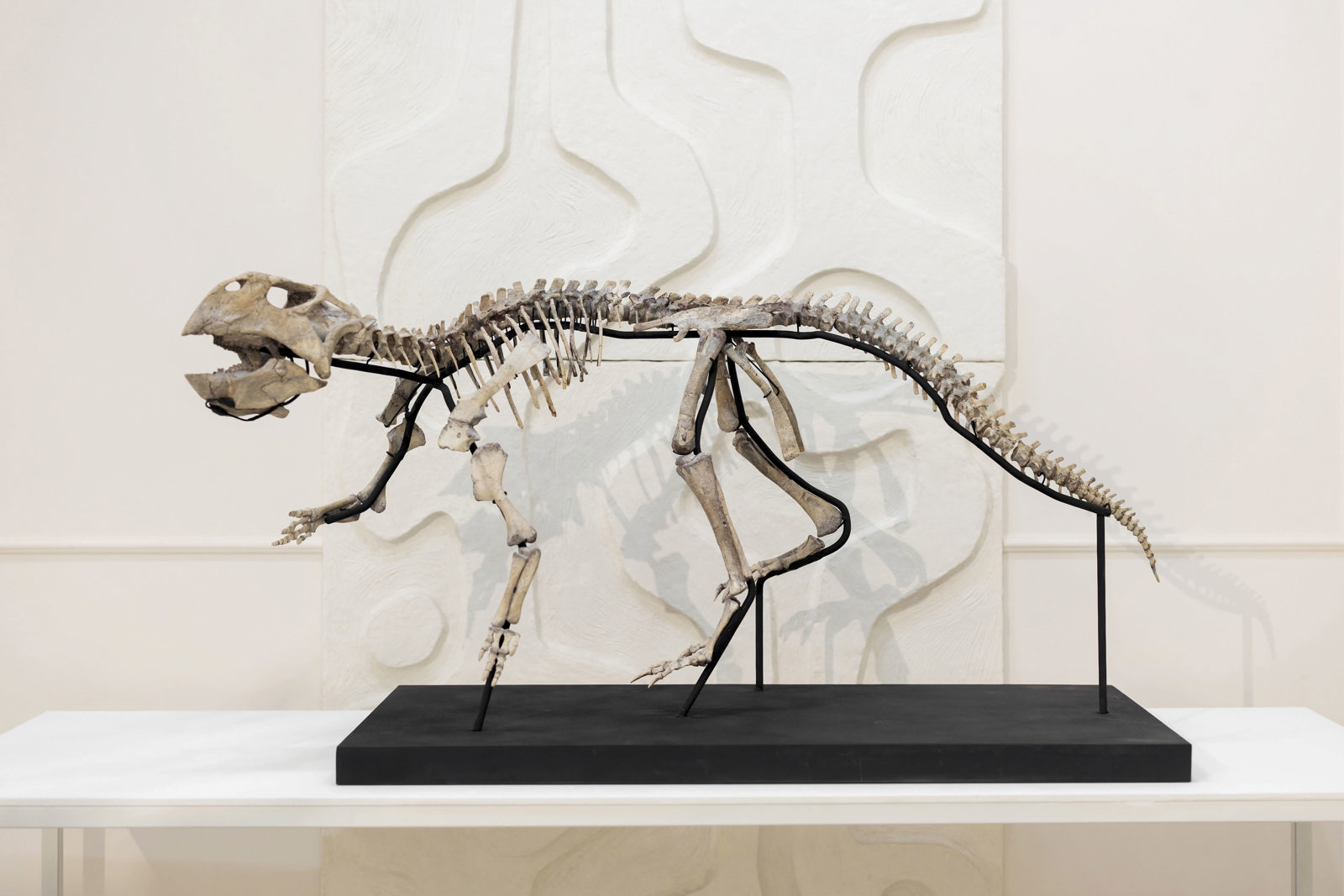 Esqueletos de dinosaurios y fósiles: artículos de lujo a la venta en una galería de Moscú
