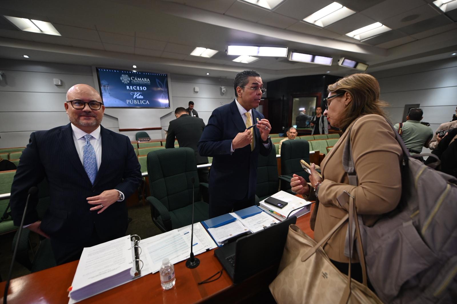Comisión de Gobierno citará a Mary Zapata para una vista pública
