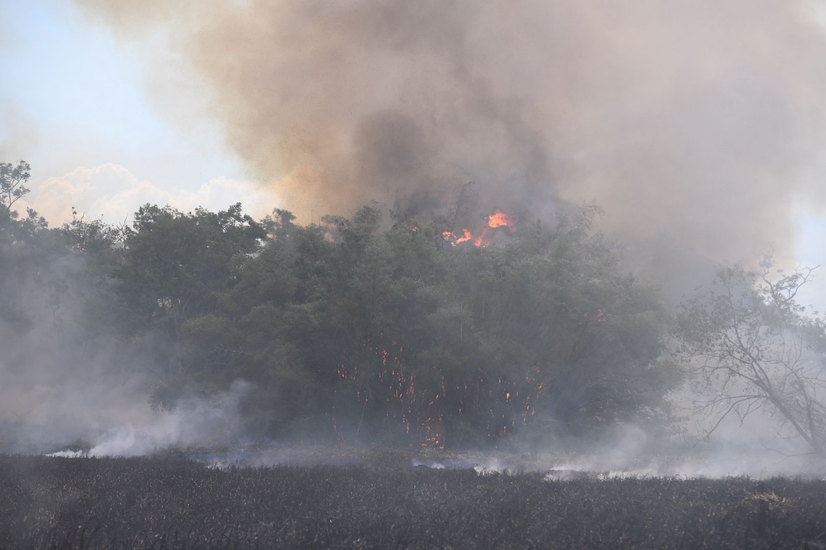 Otro fuego forestal en el área del Jardín Botánico de la UPR