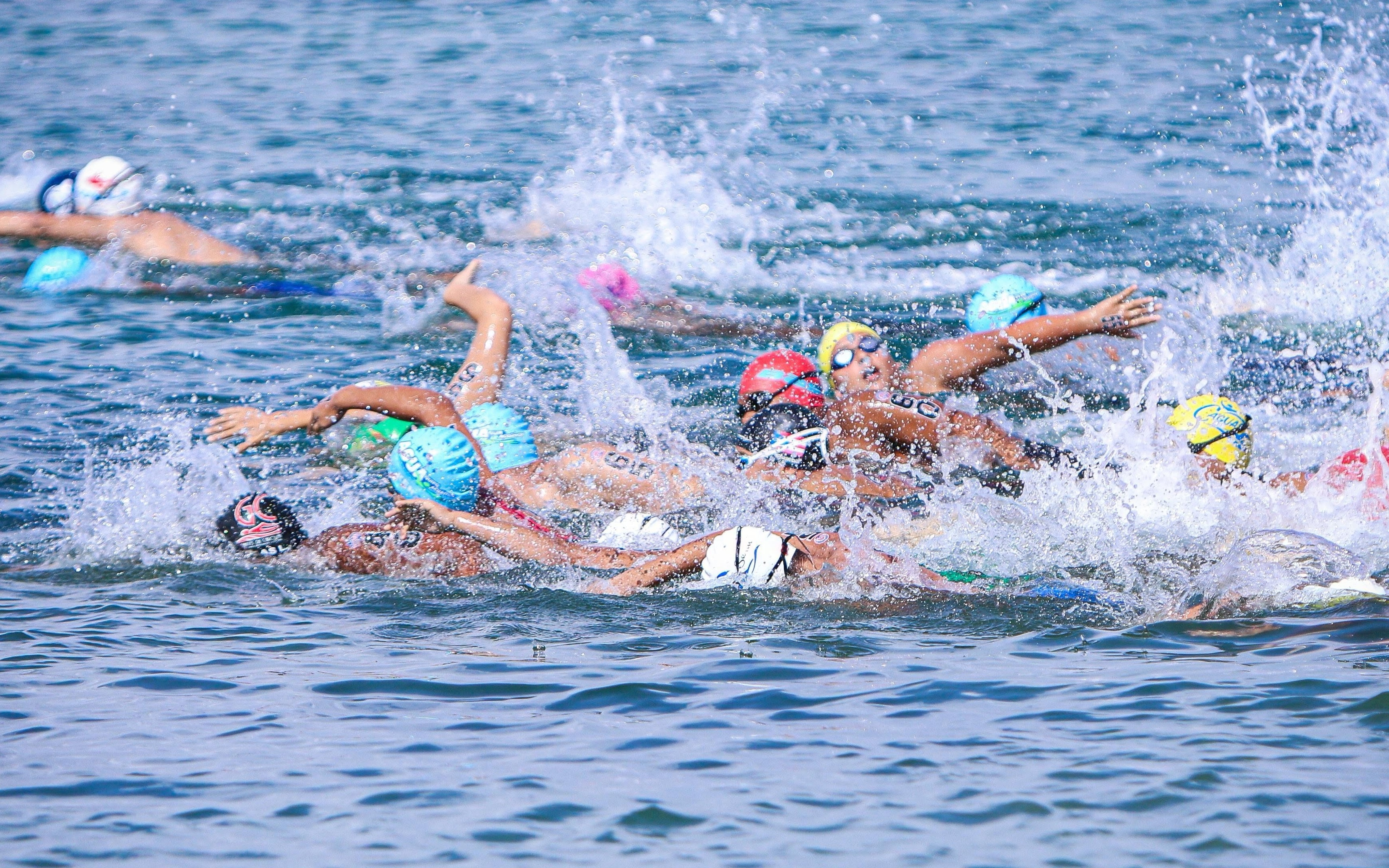 Loyola es el campeón de la natación de aguas abiertas 2026