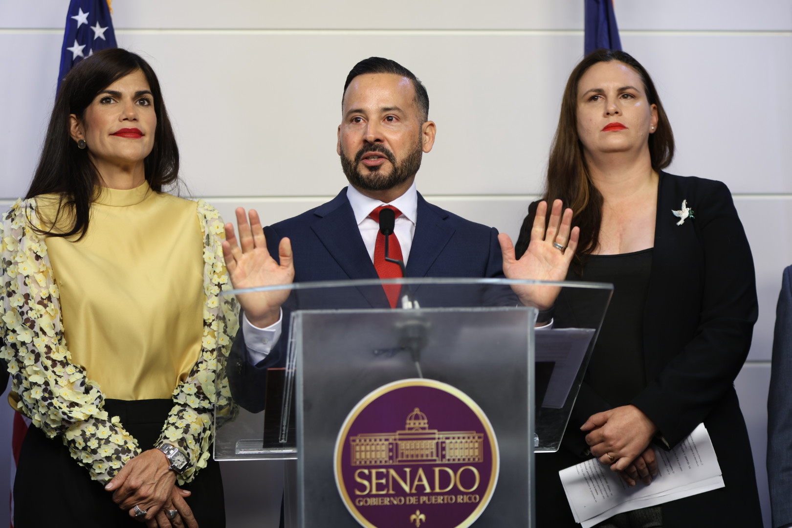 Senadores populares solicitan la destitución de Suzanne Roig como secretaria de la Familia