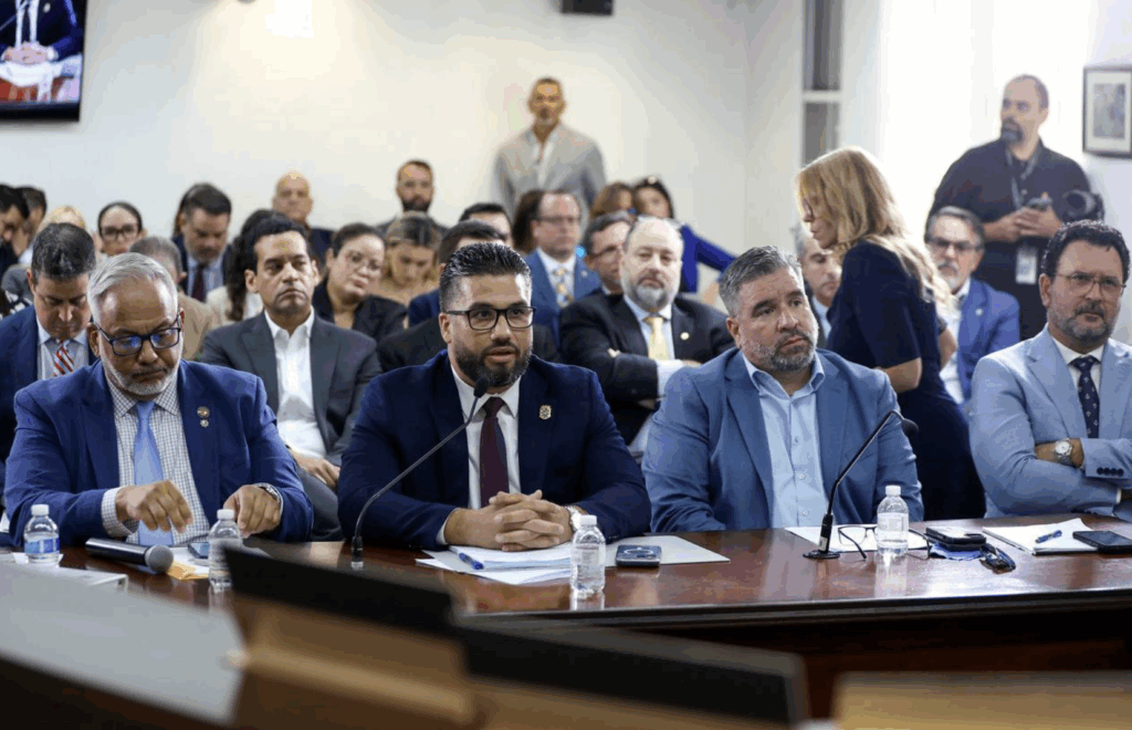 Si no le van a pagar, NF no descargará el gas del Amur River establecen en vista cameral