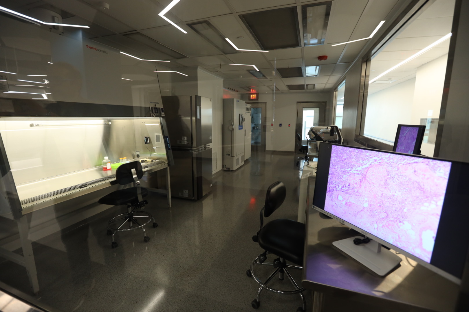 Centro Molecular de la UPR cuenta con la incubadora científica ASTRE