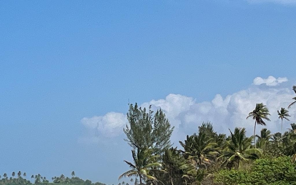 Se espera hoy un día soleado y caluroso
