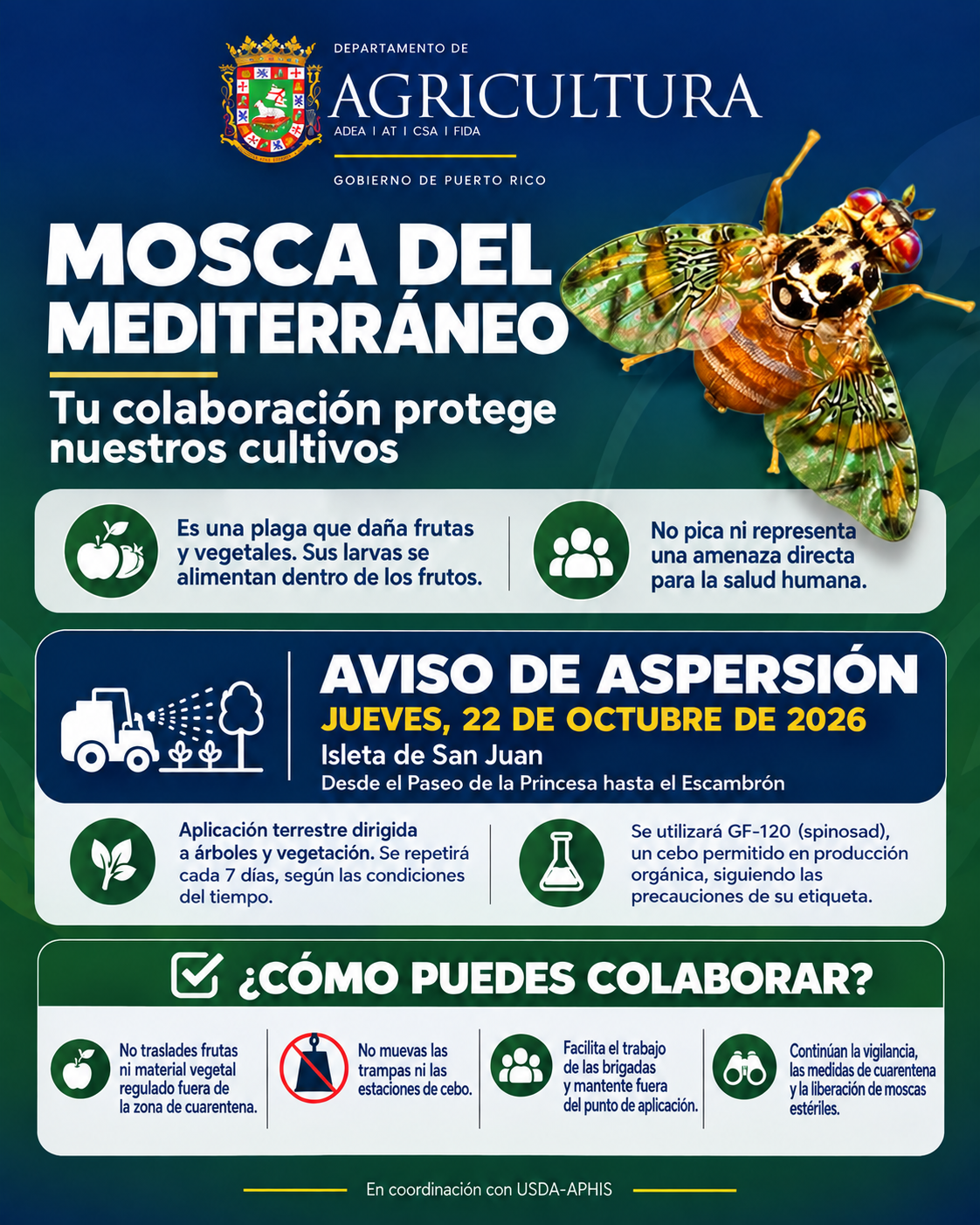 Agricultura comenzará fumigación contra mosca del Mediterráneo en la isleta de San Juan