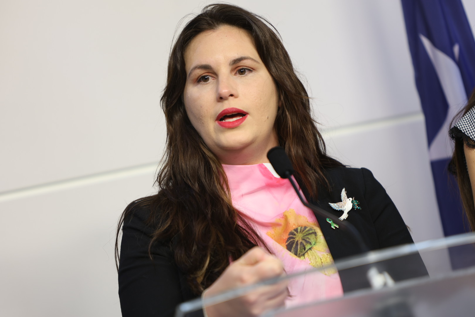Delegación popular en el Senado critica extensión concedida a Suzanne Roig