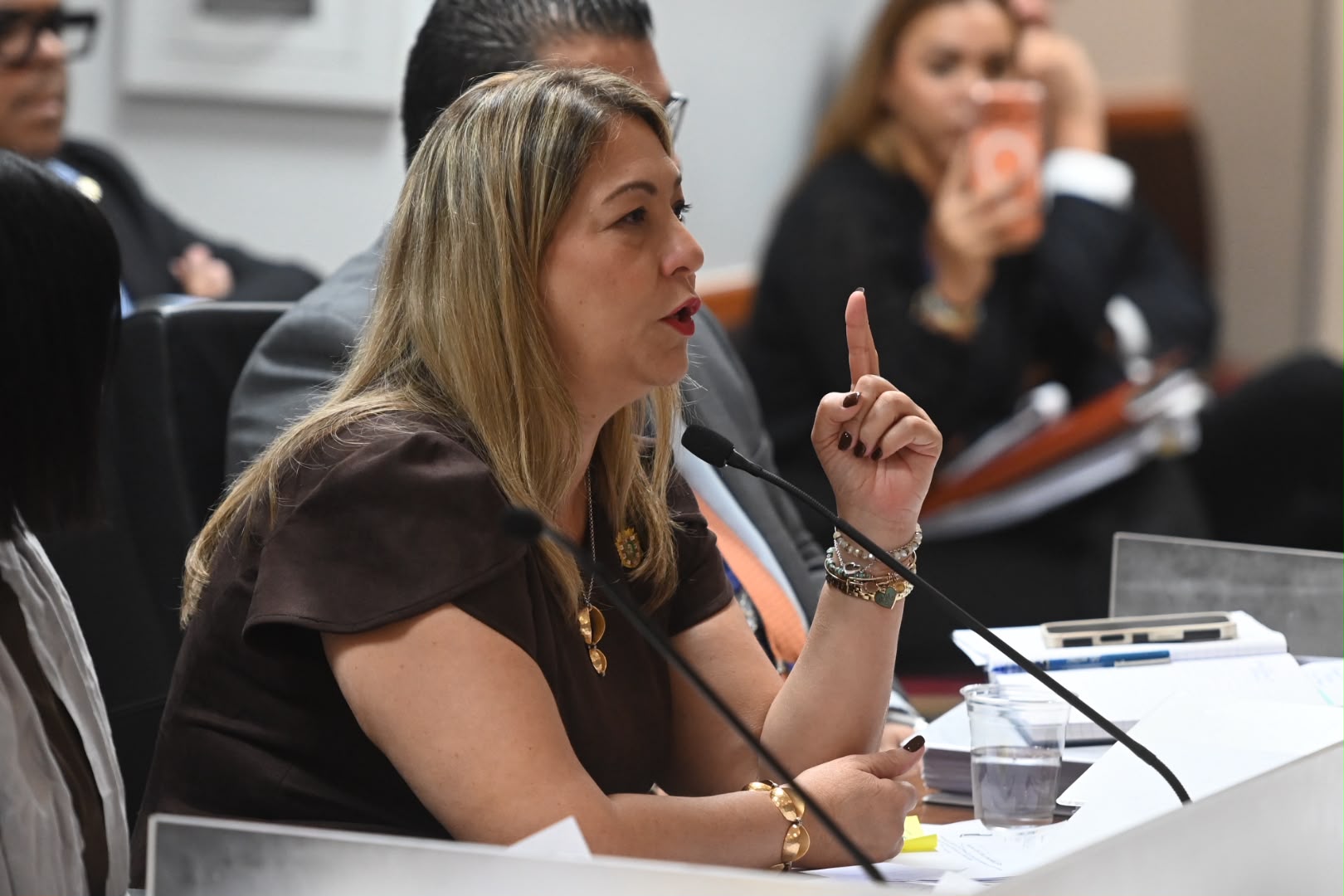 Litoral Vivo espera por una citación del Senado para comparecer a vista pública