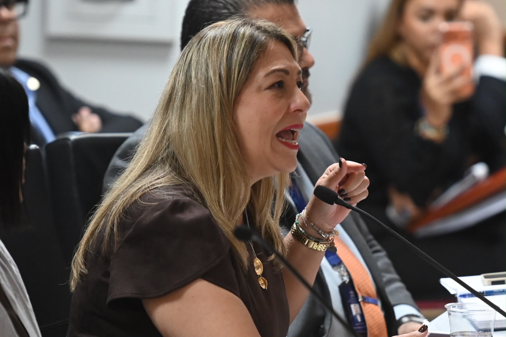 González Colón defiende nuevamente a Suzanne Roig y arremete contra Rivera Schatz